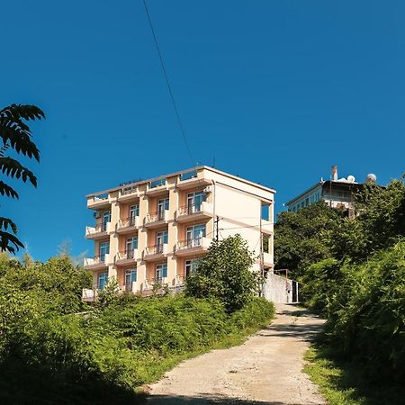 Мини - ГОСТИНИЦА ЛЮБИМЫЙ ДОМ Цихисдзири Экстерьер фото